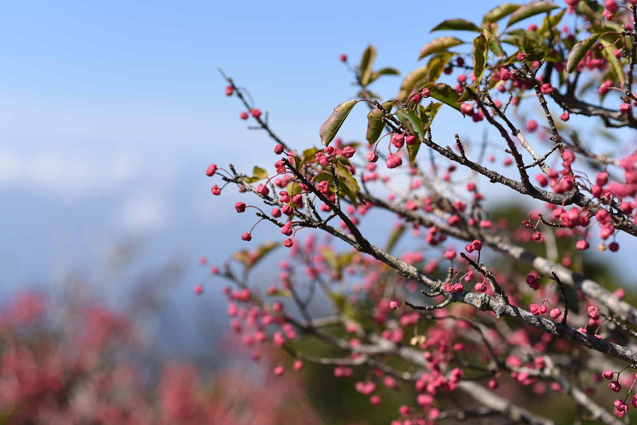 군산신역세권 한라비발디